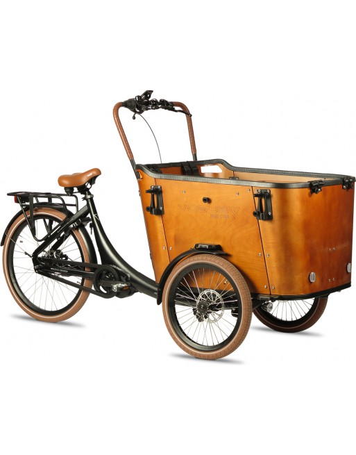 Triporteur électrique Vogue Superior 3 deluxe marron