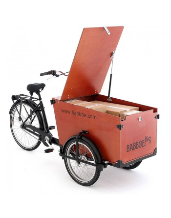 Vélo cargo Babboe Pro trike...