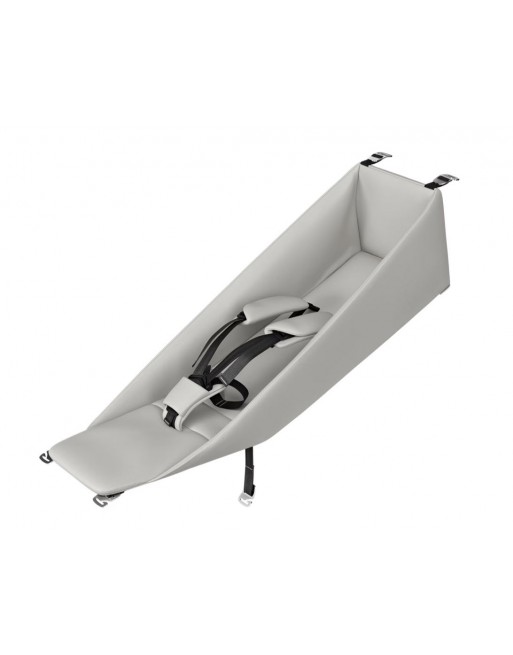 Babysitz chariot on sale