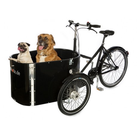 Nihola dog cargo trike