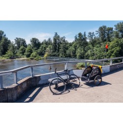 Burley Bee bike trailer