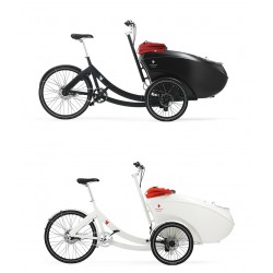 Triobike mono familienrad