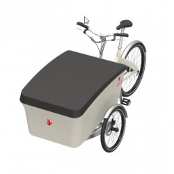 Triobike box cover