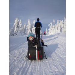 Scandinavian side bike Ski kit