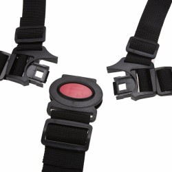 5 point safety belt for child cargo bike