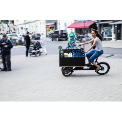 Chike Bordwände für Transportplattform