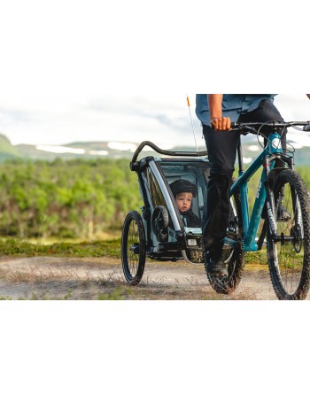 Geweldig maïs Helderheid Thule Chariot Cross 2 fietskar - Alaska