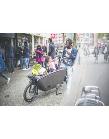 moin minis hinteres Gepäcknetz für Urban Arrow Family Lastenrad